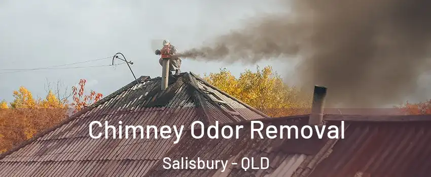 Chimney Odor Removal Salisbury - QLD