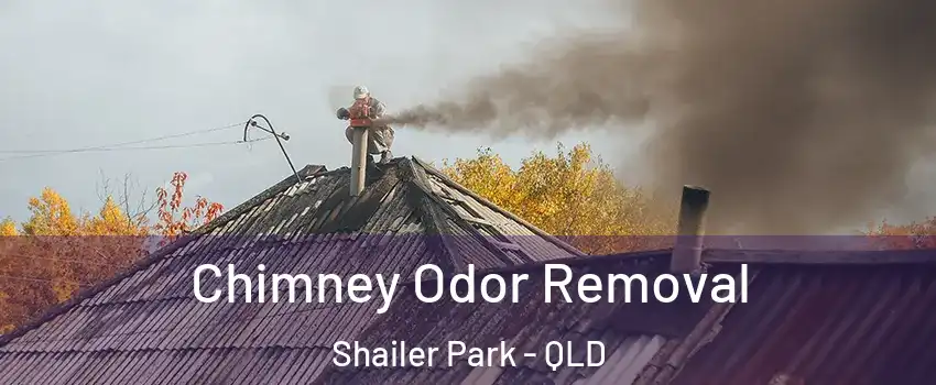 Chimney Odor Removal Shailer Park - QLD