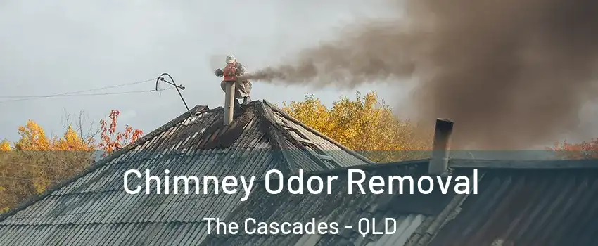Chimney Odor Removal The Cascades - QLD