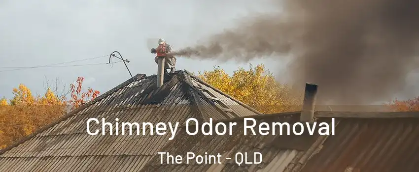 Chimney Odor Removal The Point - QLD