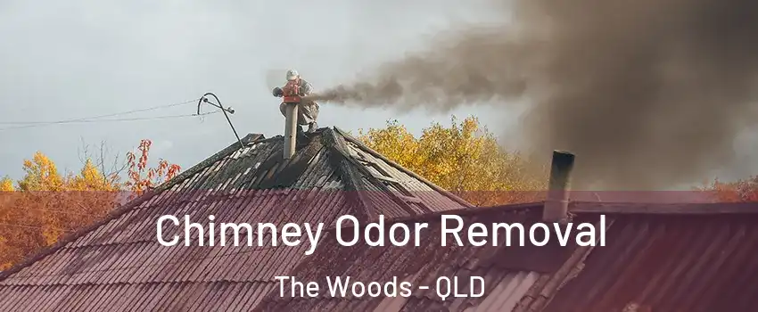 Chimney Odor Removal The Woods - QLD