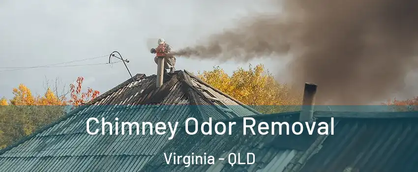 Chimney Odor Removal Virginia - QLD