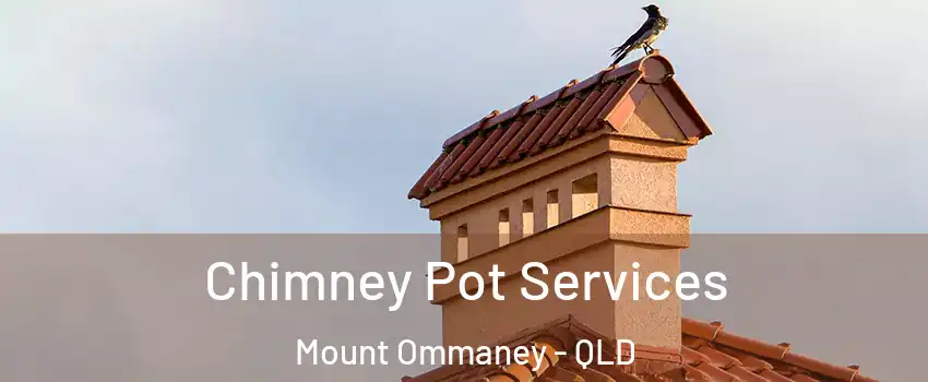 Chimney Pot Services Mount Ommaney - QLD