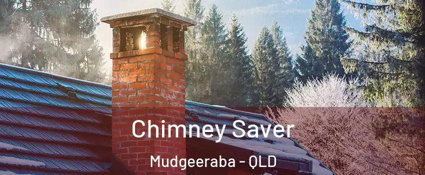 Chimney Saver Mudgeeraba - QLD