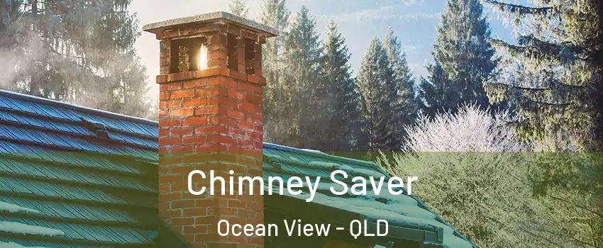 Chimney Saver Ocean View - QLD