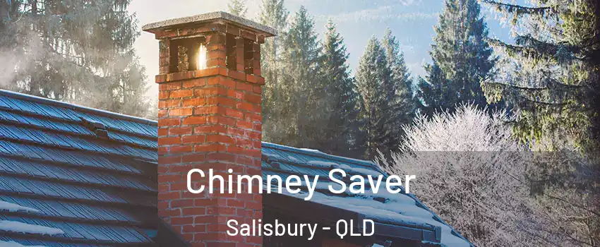 Chimney Saver Salisbury - QLD