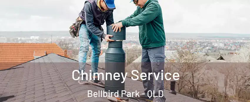 Chimney Service Bellbird Park - QLD