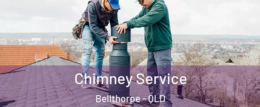 Chimney Service Bellthorpe - QLD