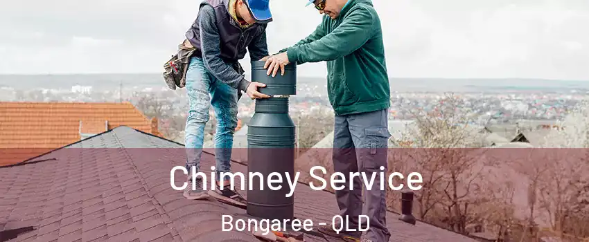 Chimney Service Bongaree - QLD
