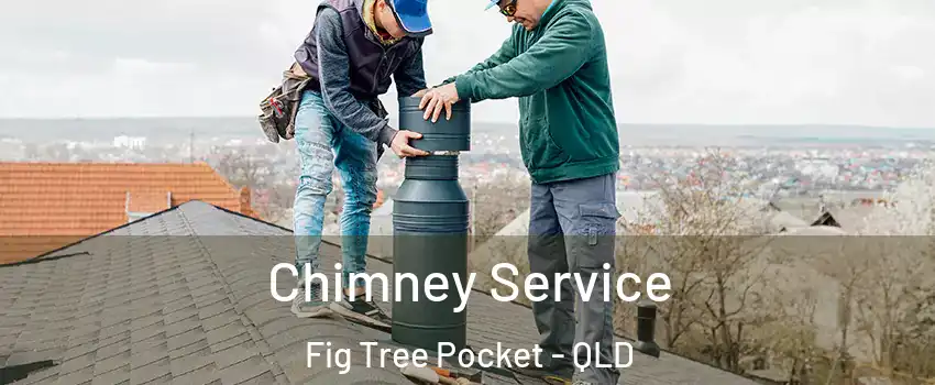 Chimney Service Fig Tree Pocket - QLD