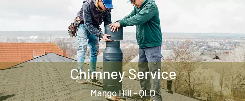 Chimney Service Mango Hill - QLD