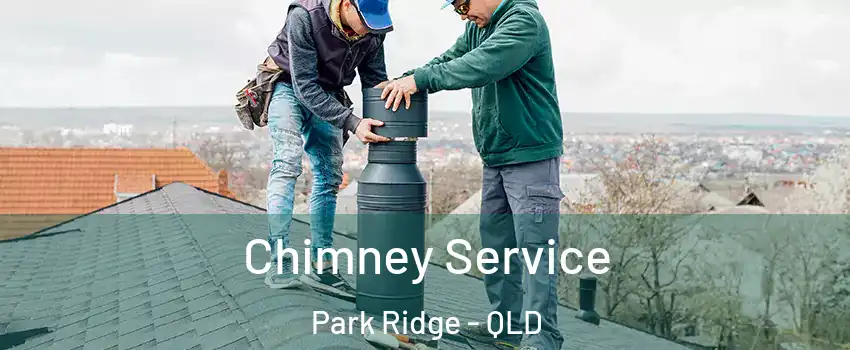 Chimney Service Park Ridge - QLD
