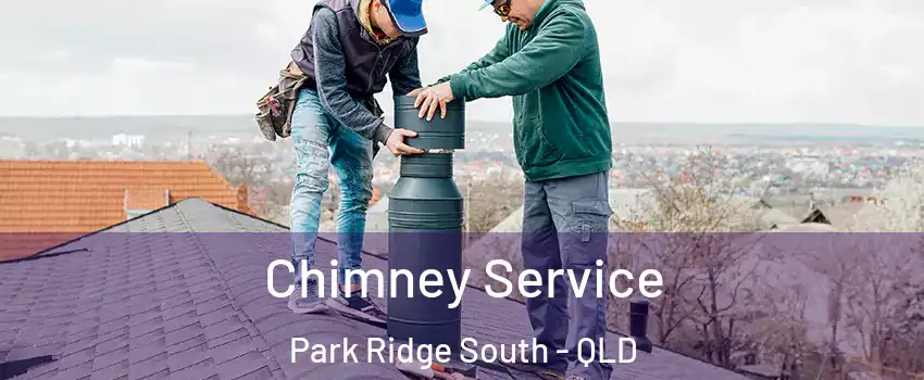 Chimney Service Park Ridge South - QLD