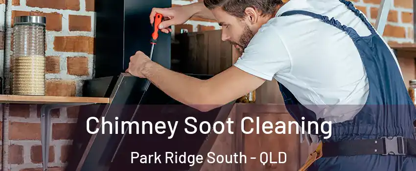 Chimney Soot Cleaning Park Ridge South - QLD