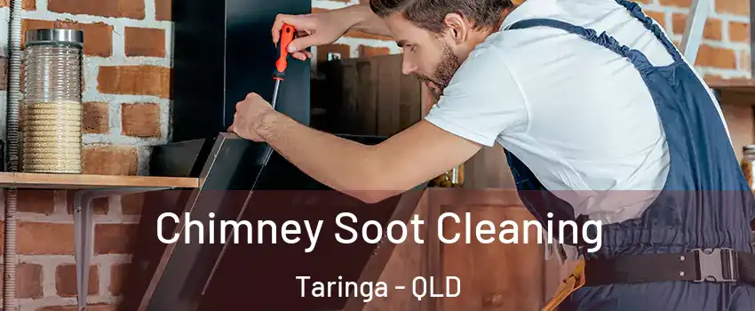 Chimney Soot Cleaning Taringa - QLD