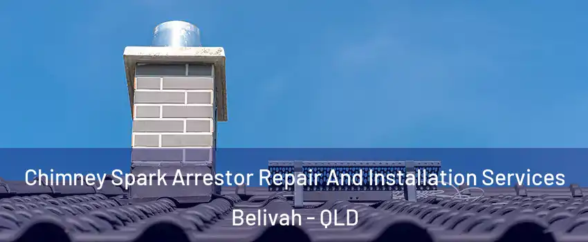 Chimney Spark Arrestor Repair And Installation Services Belivah - QLD