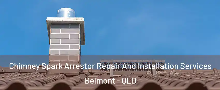 Chimney Spark Arrestor Repair And Installation Services Belmont - QLD