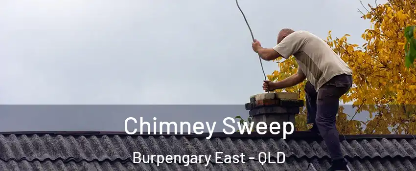 Chimney Sweep Burpengary East - QLD