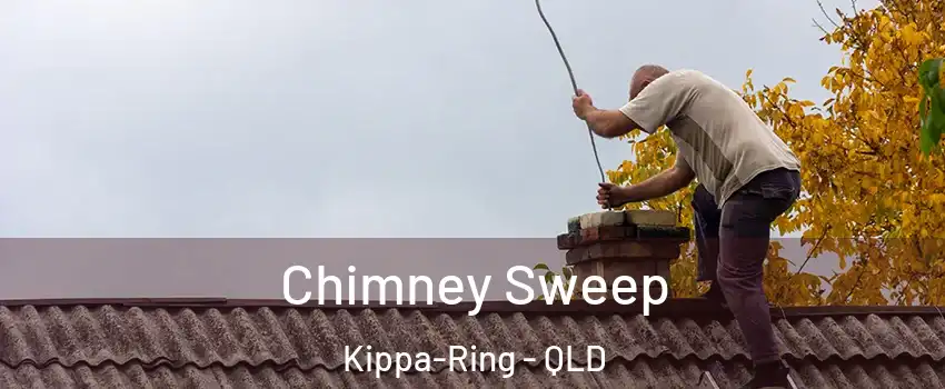 Chimney Sweep Kippa-Ring - QLD
