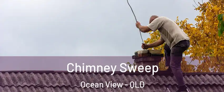 Chimney Sweep Ocean View - QLD