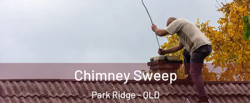 Chimney Sweep Park Ridge - QLD