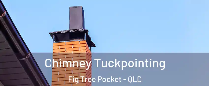 Chimney Tuckpointing Fig Tree Pocket - QLD