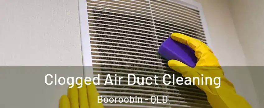 Clogged Air Duct Cleaning Booroobin - QLD