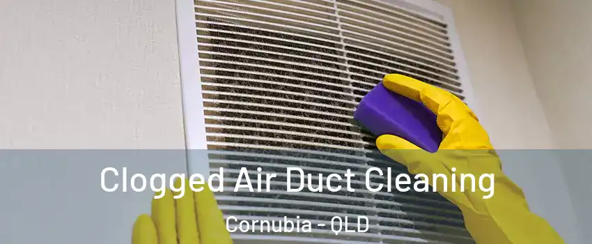 Clogged Air Duct Cleaning Cornubia - QLD