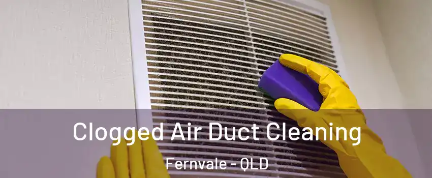 Clogged Air Duct Cleaning Fernvale - QLD