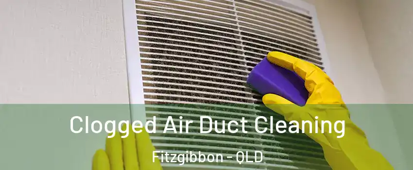 Clogged Air Duct Cleaning Fitzgibbon - QLD