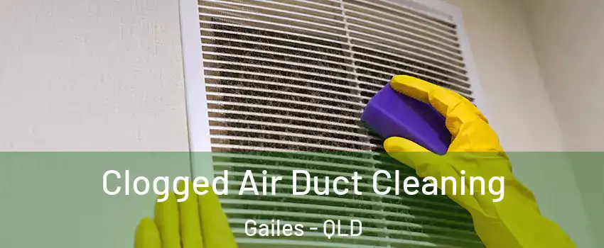 Clogged Air Duct Cleaning Gailes - QLD