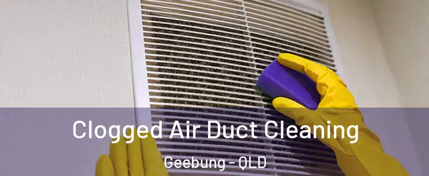 Clogged Air Duct Cleaning Geebung - QLD