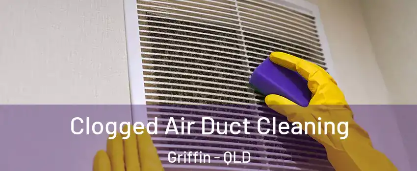 Clogged Air Duct Cleaning Griffin - QLD