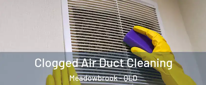 Clogged Air Duct Cleaning Meadowbrook - QLD