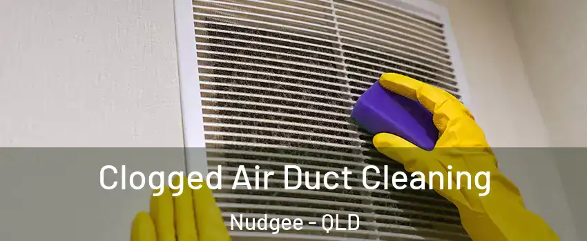 Clogged Air Duct Cleaning Nudgee - QLD