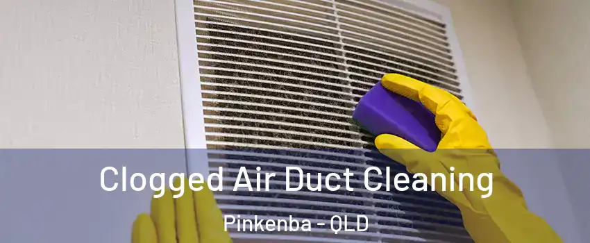 Clogged Air Duct Cleaning Pinkenba - QLD