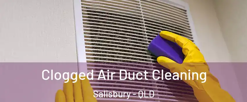 Clogged Air Duct Cleaning Salisbury - QLD