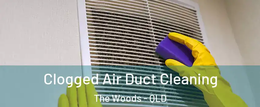 Clogged Air Duct Cleaning The Woods - QLD