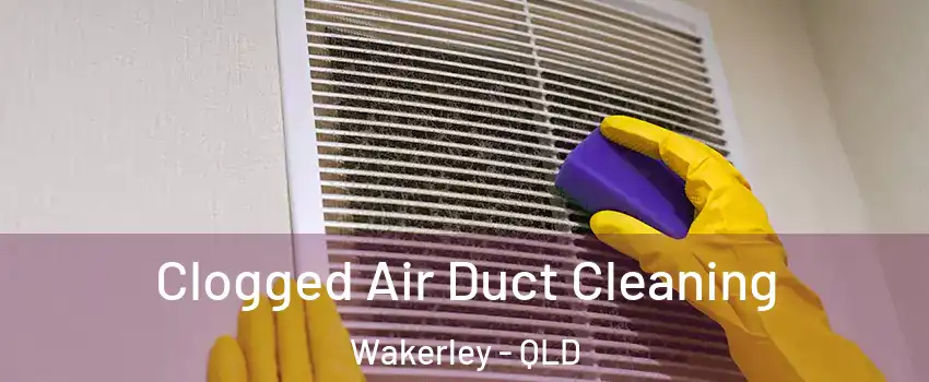 Clogged Air Duct Cleaning Wakerley - QLD