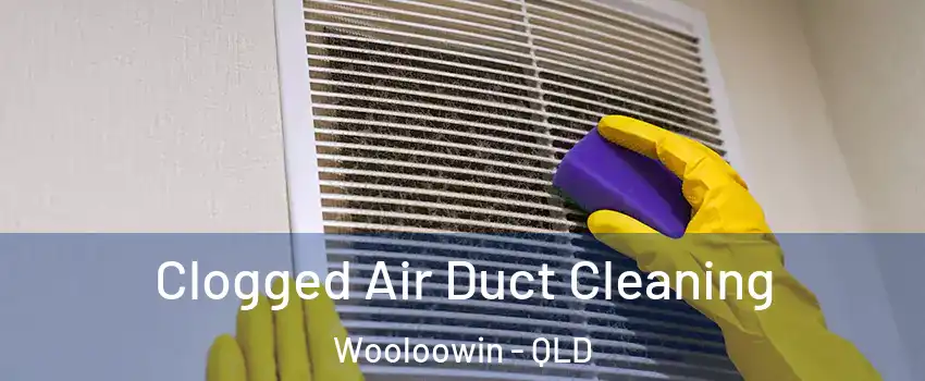 Clogged Air Duct Cleaning Wooloowin - QLD