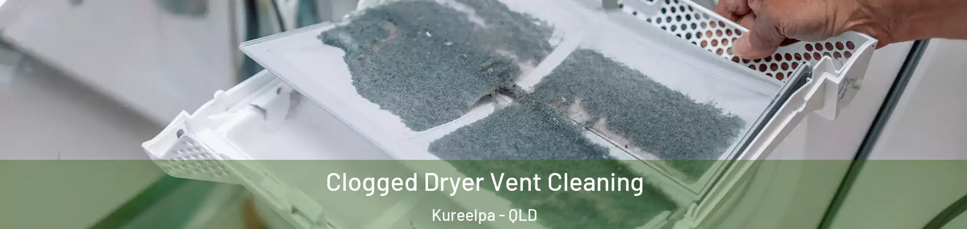 Clogged Dryer Vent Cleaning Kureelpa - QLD
