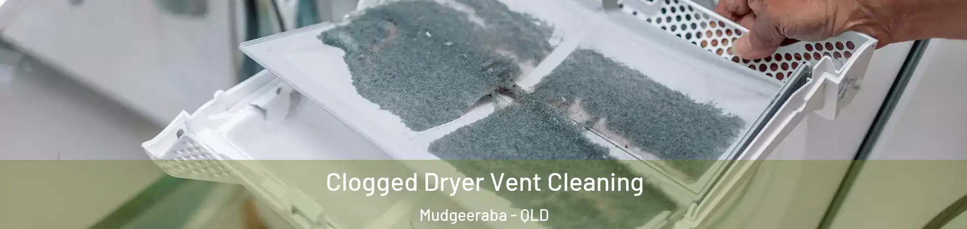 Clogged Dryer Vent Cleaning Mudgeeraba - QLD