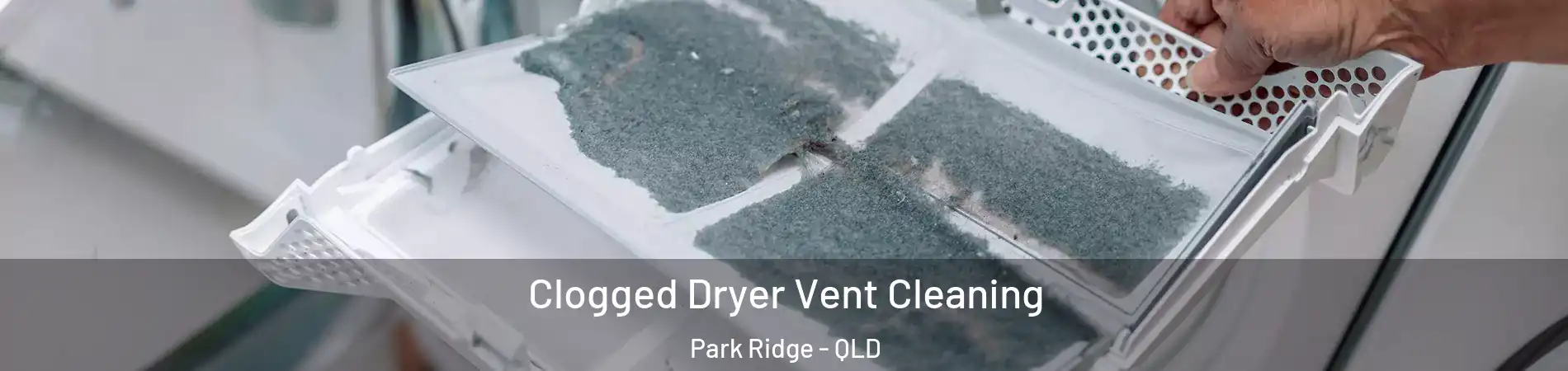 Clogged Dryer Vent Cleaning Park Ridge - QLD