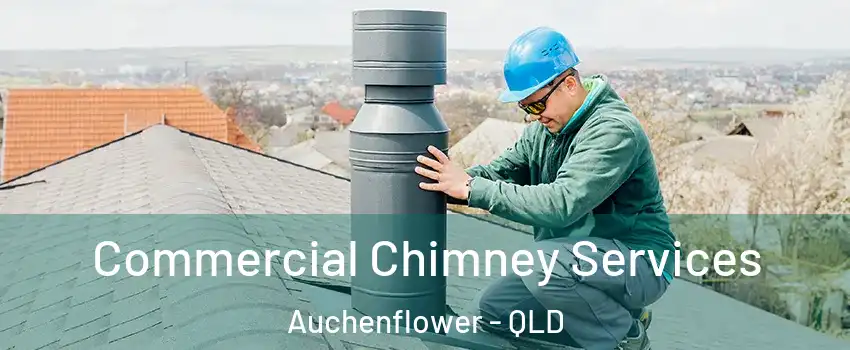 Commercial Chimney Services Auchenflower - QLD