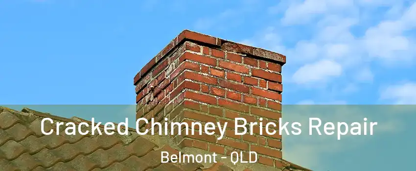 Cracked Chimney Bricks Repair Belmont - QLD