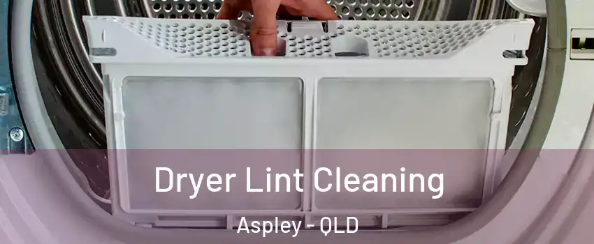 Dryer Lint Cleaning Aspley - QLD