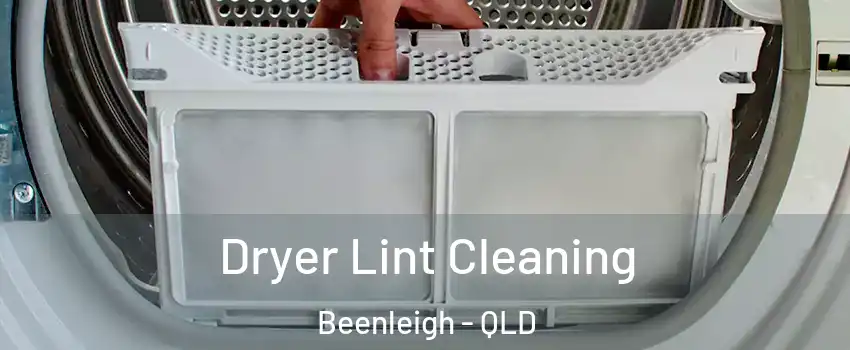 Dryer Lint Cleaning Beenleigh - QLD