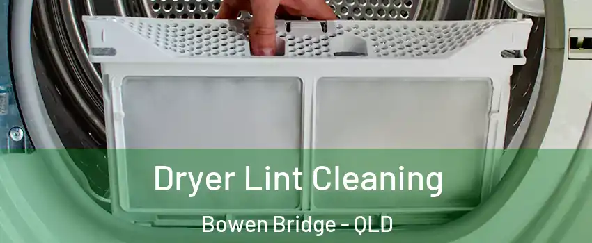 Dryer Lint Cleaning Bowen Bridge - QLD