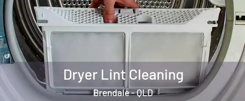 Dryer Lint Cleaning Brendale - QLD