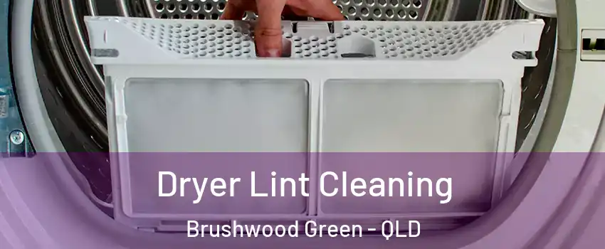 Dryer Lint Cleaning Brushwood Green - QLD